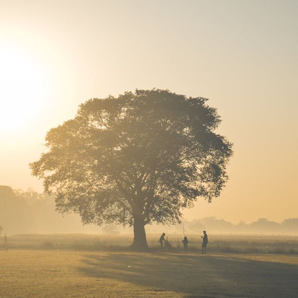 Person stretching gently in a calm, natural environment at sunrise.